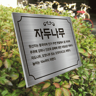 수목-스텐절곡꽂이-ST20