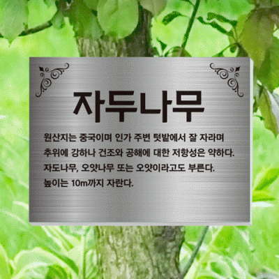 수목-걸이-ST19