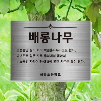 수목-걸이-ST2