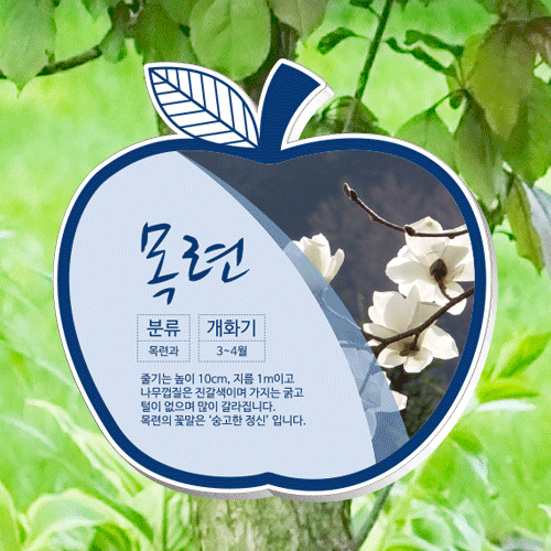 수목-걸이-E21~24