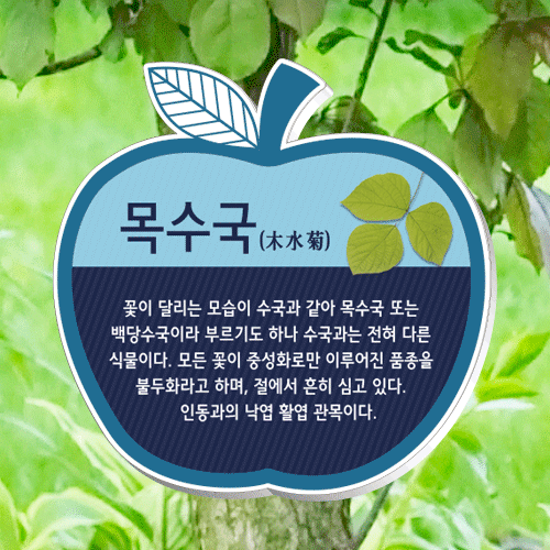 수목-걸이-E13~16