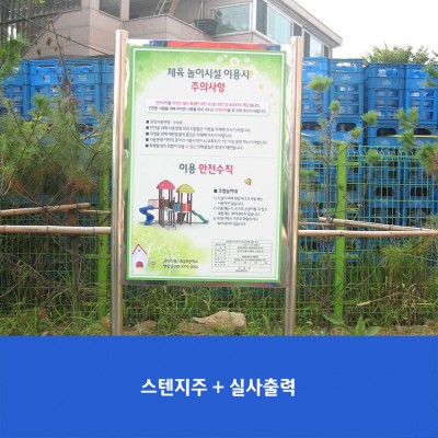 생금초