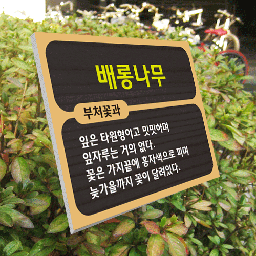 수목-스텐절곡꽂이-A49~52