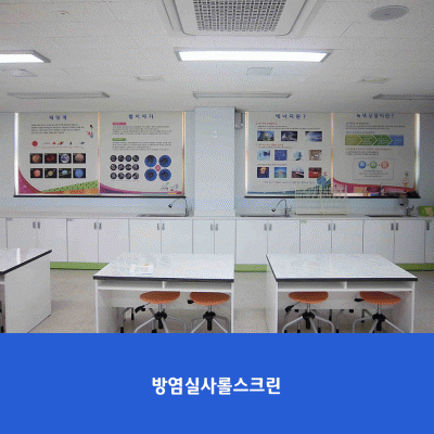 운정초-롤스크린