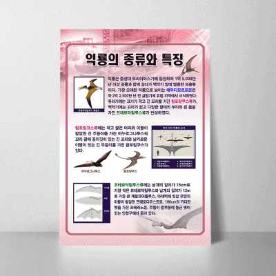 A43.익룡의종류와특징