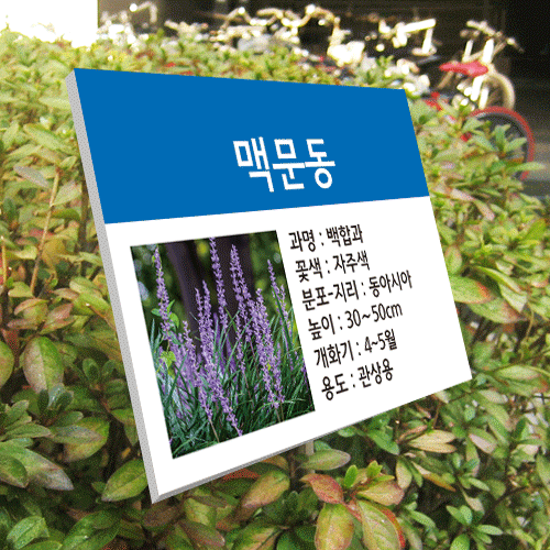 수목-스텐절곡꽂이-A53~56