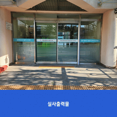 서울원묵초